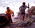Coffee Bay Community Harvesting
