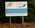 Dlinza Forest Boardwalk