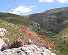 Natural Area
