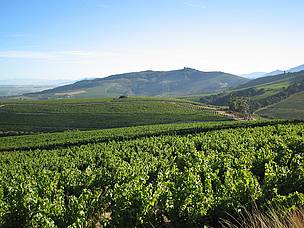 Mooiplaas was the first wine farm to sign up as a BWI member / ©: Mooiplaas / ©: Mooiplaas
