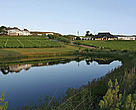 Vineyards