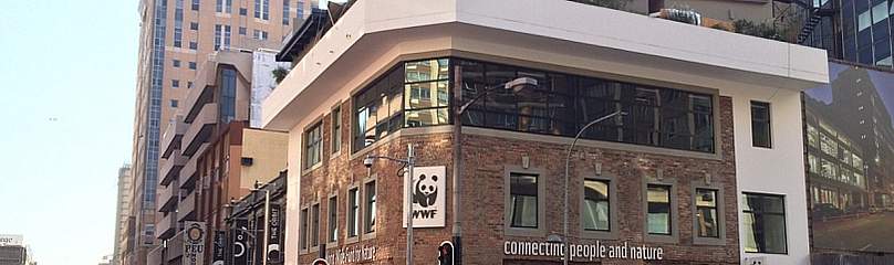 WWF Braamfontein building
© WWF-SA
© WWF-SA