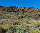 Natural area