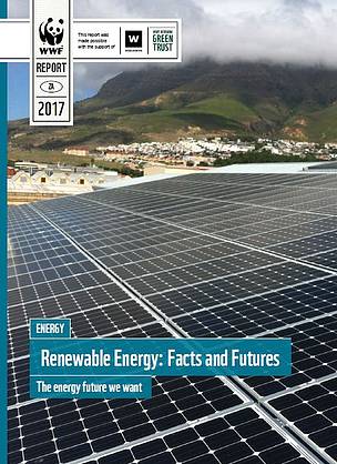 Renewable Energy Facts and Futures | WWF South Africa