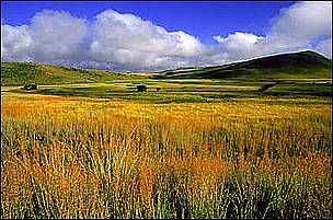 Enkangala Grasslands region / ©: Angus Burns / ©: Angus Burns