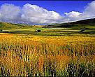 Enkangala Grasslands region