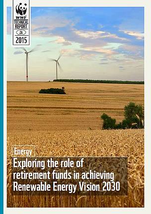 Exploring the role of retirement funds in achieving Renewable Energy ...