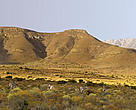 Natural area
