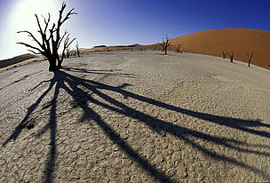  / &copy;: Martin Harvey / WWF-Canon