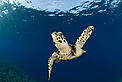  / &copy;: Jurgen Freund/WWF Canon