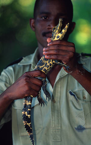  / &copy;: Martin Harvey/WWF Canon