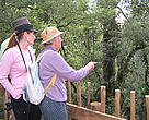 Marutswa Forest Boardwalk