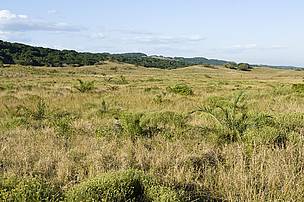  / &copy;: Peter Chadwick/WWF-SA