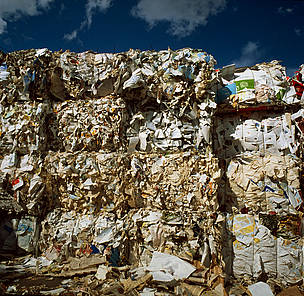  / &copy;: Kjell-Arne Larsson/WWF-Canon