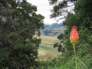  / &copy;: Therese Brinkcate WWF-SA