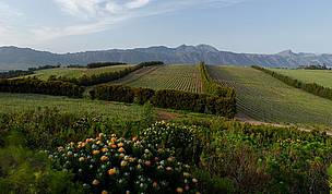  / &copy;: Waterkloof