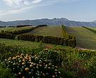 Waterkloof