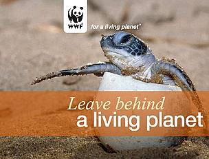 WWF South Africa Legacy Brochure / ©: WWF SA / ©: WWF SA