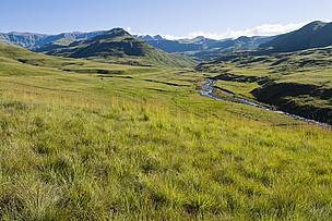  / &copy;: Peter Chadwick/WWF-SA