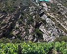 Natural area