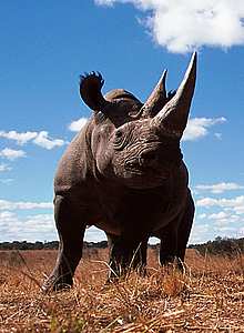  / &copy;: John Downer / naturepl.com / WWF-Canon