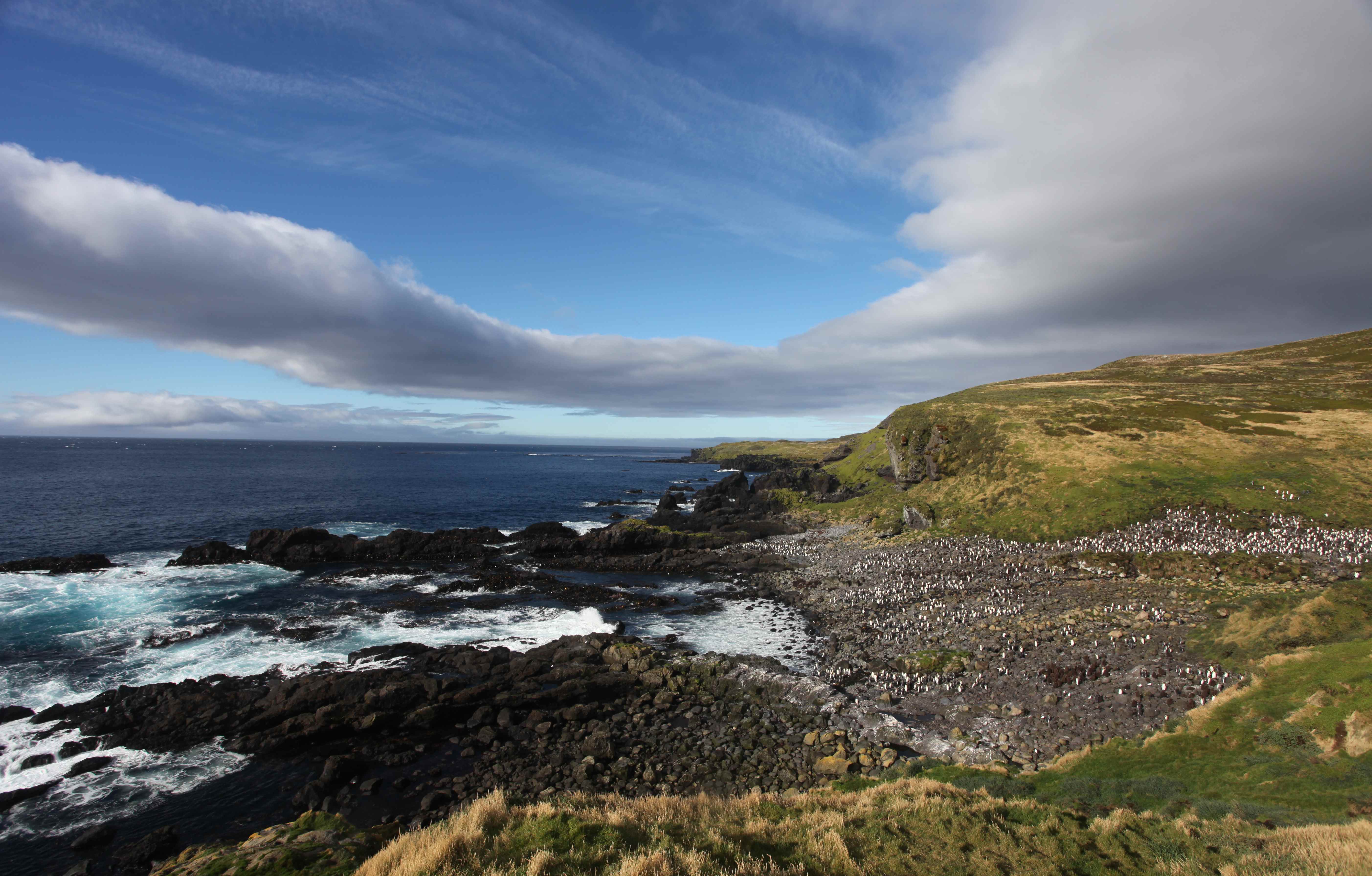 Elation over protection for unique Southern Ocean islands WWF South
