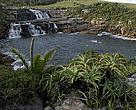 Pondoland MPA