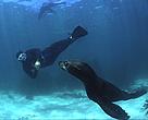 Robberg MPA
