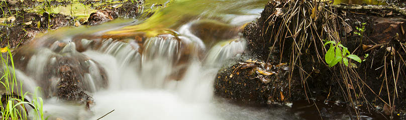 Soutmansberg
© Peter Chadwick
© Peter Chadwick