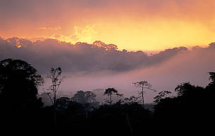  / &copy;: Roger Leguen / WWF Canon