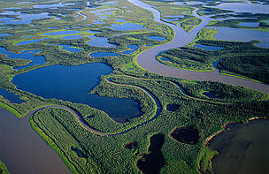  / &copy;: Staffan Widstrand / WWF