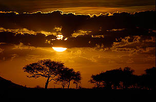  / &copy;: Staffan Widstrand / WWF